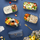 Axyaa Electric Lunch Box: Portable Stainless Steel Food Warmer Container 220V 110V