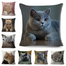 Axyaa British Shorthair Russian Blue Cat Cushion Cover - Cute Pet Animal Pillowcase