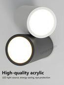 Axyaa LED Ceiling Lamp: Modern Retro Indoor Lighting for Home, Kitchen, Dining Room