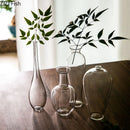 Axyaa Glass Vase: Modern Zen Hydroponics Floral Insert for Home and Office Decor