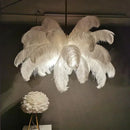 Axyaa Modern Nordic LED Ostrich Feather Ceiling Chandelier