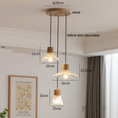 Axyaa Clear Glass LED Pendant Light Chandelier - Home Decor Hanging Lamp