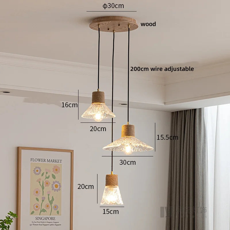 Axyaa Clear Glass LED Pendant Light Chandelier - Home Decor Hanging Lamp