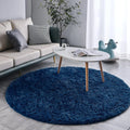 Axyaa Gray Fluffy Plush Carpet Round Rug for Living Room, Kids Bedroom, Nursery & Home Decor