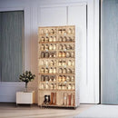 Axyaa Stackable Shoe Rack Organizer with Clear Magnetic Door, Large Plastic Cabinet