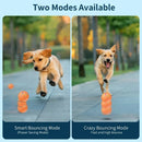 Axyaa Smart Rolling Ball Pet Toy - Interactive USB Charging Training Ball