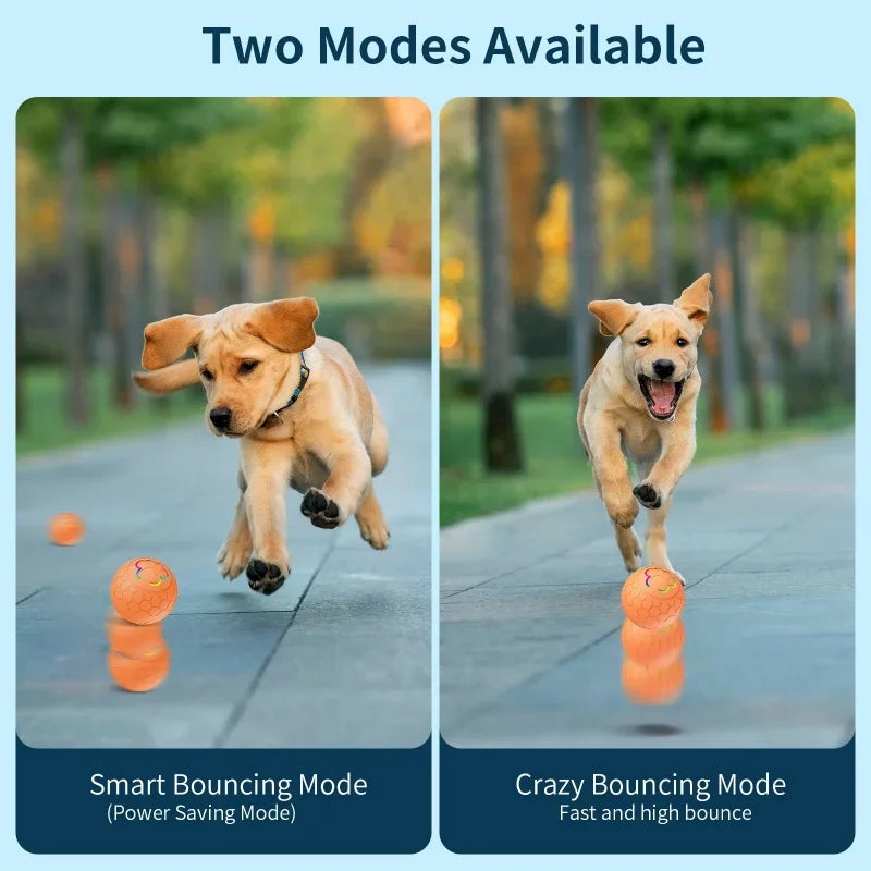 Axyaa Smart Rolling Ball Pet Toy - Interactive USB Charging Training Ball
