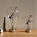 Axyaa Glass LED Table Lamp Modern Design Decoration Light