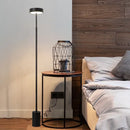 Axyaa Nordic Minimalist Art LED Floor Lamp for Studio, Bedroom, and Restaurant