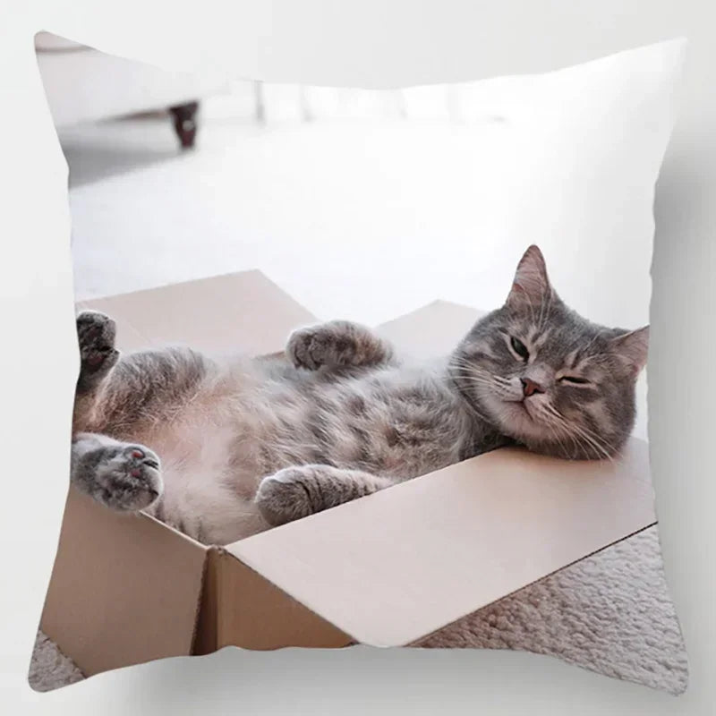 Axyaa Cat Collection Pillowcase - Home & Office Decor Square Pillowcase