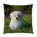 Axyaa Wild Animal Pattern Print Sofa Cushion Cover
