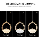Luxe Pendant Lights by Axyaa: Modern Indoor Lighting for Stylish Home Decor