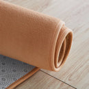Axyaa Coral Fleece Soft Area Rug for Living Room, Bedroom, or Yoga Mat