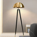 Axyaa Nordic Retro Luxury Floor Lamp for Art Exhibition Hall & Living Room
