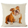 Axyaa French Bulldog Linen Cushion Cover for Cute Dog Lovers