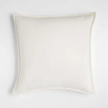 Axyaa Velour Square Pillow Cover 50x50 Lightweight Hidden Zipper Sofa Bed Pillowcase
