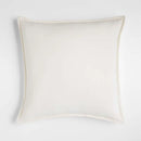 Axyaa Velour Square Pillow Cover 50x50 Lightweight Hidden Zipper Sofa Bed Pillowcase