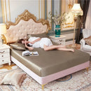 Axyaa Satin Silky Fitted Bed Sheet Set - Luxury Solid Color Sheets & Pillow Cases