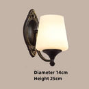 Axyaa Iron Glass Wall Lamp - Minimalist Retro American Style Lighting