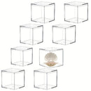 Axyaa Clear Acrylic Cube Storage Box 10x10x10cm Transparent Display Organizer