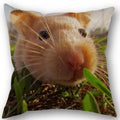 Axyaa Hamster Series Sofa Cushion Cover Pillowcase - Home Party Car Bedding