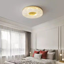 Axyaa Modern Indoor LED Chandelier Ceiling Light Fixture for Living Room Corridor