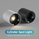 Axyaa Modern LED Spot Light Ceiling Lamp for Home Decor.