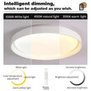 Axyaa 20" Wood Grain LED Ceiling Light with Remote Control Dimming