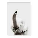 Axyaa Baby Animals Poster: Lion Tiger Hippo Giraffe Elephant Zebra Wall Art