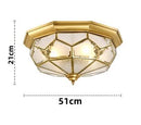 Axyaa Classic Copper Ceiling Light with Glass Shade for Home Decor Lighting