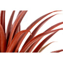 Axyaa Hyper Realistic Big Red Aloe Vera Plant 26" Tall in Matte Black Pot