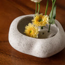 Axyaa Ceramic Flower Pots: Handmade Stoneware, Sword Mountain Design
