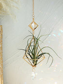 Axyaa Gold Suncatcher Air Plant Holder with Crystal Home Decor
