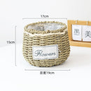 Axyaa Hand-woven Straw Flower Pots | Eco-Friendly Plant Fiber Baskets & Ornaments