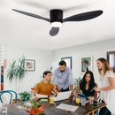 Axyaa Minimalist Ceiling Fan LED Light Motor High Air Volume Remote Control.