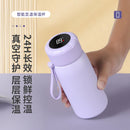 Axyaa Stainless Steel Temperature Display Water Bottle with Handle and Carry Strap