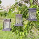 Axyaa Solar Lantern with 30LED Solar String Lights