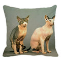 Cute Axyaa Sphinx Cat Cushion Cover 45X45cm - Home Sofa Decoration Pillowcase