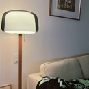 Axyaa Glass Floor Lamp: Modern Simple LED Reading Desk Lamp for Living Room or Bedroom
