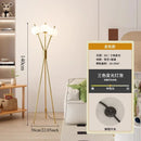 Axyaa Italian Nordic Floor Lamp for Luxe Living Room Decor