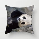 Axyaa Panda Print Polyester Cushion Cover - 45x45cm