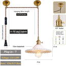 Axyaa Adjustable Glass Pendant Light with E27 Base for Living Room Bedroom Kitchen