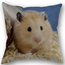 Axyaa Hamster Series Sofa Cushion Cover Pillowcase - Home Party Car Bedding