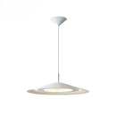 Axyaa Round LED Chandelier for Modern Nordic Minimalist Style Home Décor & Lighting