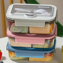 Axyaa Lunch Box Set: Leakproof, Microwave Safe, Divided, for Office Workers, Picnic, Camping