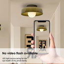 Axyaa Nordic Glass LED Ceiling Lamps Colorful Surface Mounted Lights