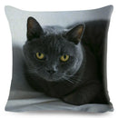 Axyaa British Shorthair Russian Blue Cat Cushion Cover - Cute Pet Animal Pillowcase