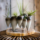 Axyaa Abstract Tooth Flower Pot: Artistic Ceramic Vase for Terrarium Home Decoration