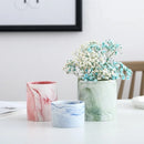 Axyaa Marble Ceramic Succulent Planter Set