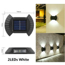 Axyaa Solar Shell Wall Light: Outdoor Garden Fence Courtyard Decor Waterproof LED Solar Lamp